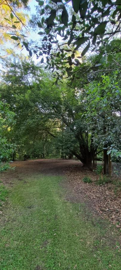 Bird Songs Getaway Accommodation Cabbage Tree Creek Esterno foto