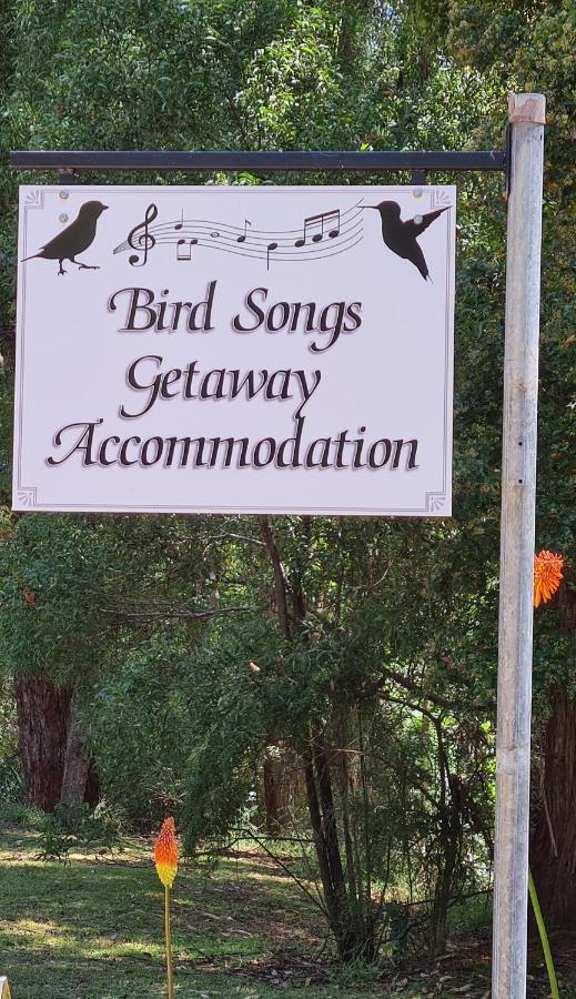 Bird Songs Getaway Accommodation Cabbage Tree Creek Esterno foto