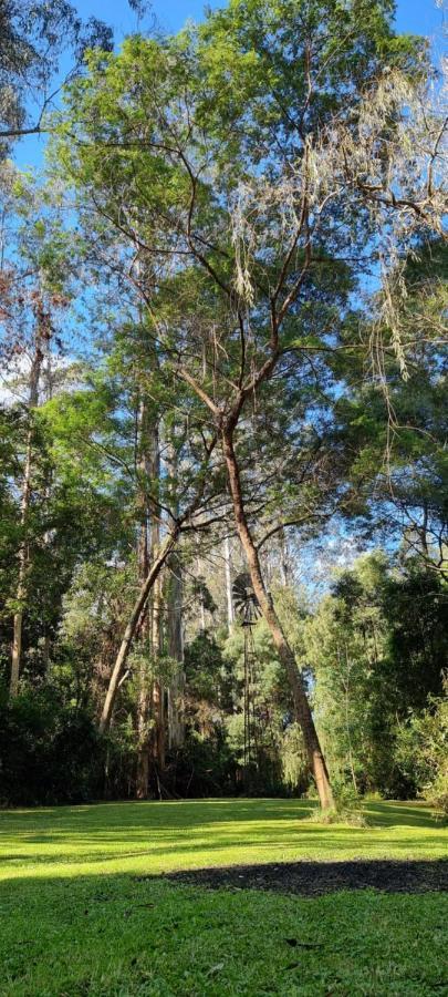 Bird Songs Getaway Accommodation Cabbage Tree Creek Esterno foto