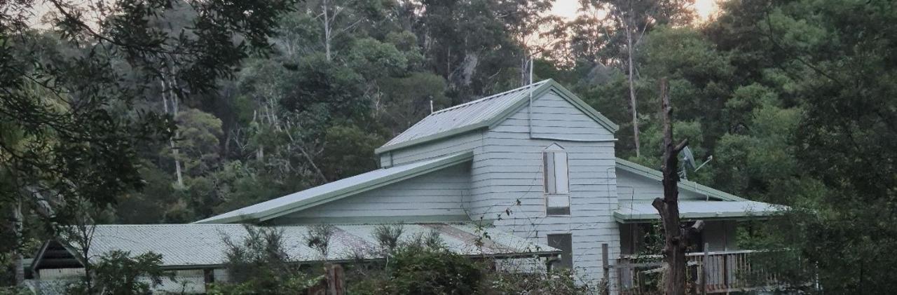 Bird Songs Getaway Accommodation Cabbage Tree Creek Esterno foto
